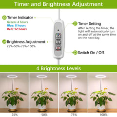 LORDEM Desk Grow Light in use on a plant shelf