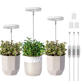 LORDEM Full Spectrum LED Grow Light set of 3 with halo design