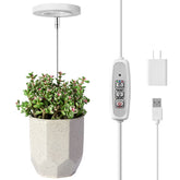 LORDEM Full Spectrum LED Grow Light with adjustable height