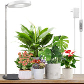 LORDEM Grow Light for Indoor Plants with adjustable height