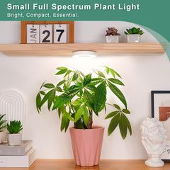 LORDEM Grow Light mounted under a shelf with plants