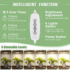 LORDEM Grow Light showing adjustable brightness levels