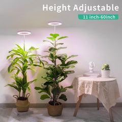 LORDEM Grow Light side view showing adjustable height