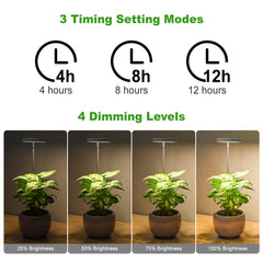 LORDEM Grow Light with adjustable height in use