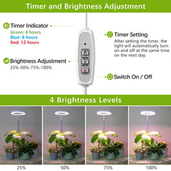 LORDEM Grow Light with timer settings displayed