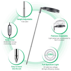 LORDEM LED grow light in a home setting