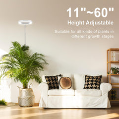 LORDEM LED Grow Light showing 72 LEDs and control panel