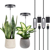 LORDEM Plant Grow Light front view, black with halo design