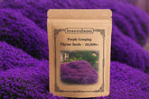 Loseedsoo Purple Creeping Thyme Seeds resealable pouch front view