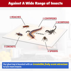 LULUCATCH Cricket Insect Glue Trap with molasses fruity scent attractant