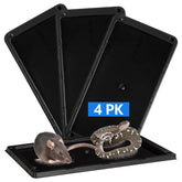 LULUCATCH Mouse Traps 4 Pack, front view