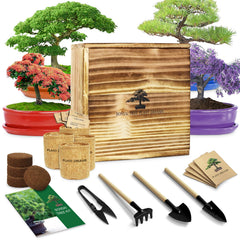 LUOJIBIE Bonsai Tree Kit wooden box with seeds and planters