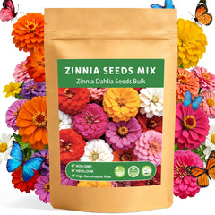 LUOJIBIE Zinnia Seeds package front view with mixed colours