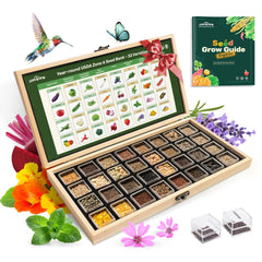 LUSH&DEW Heirloom Seed Kit wooden storage box with seeds