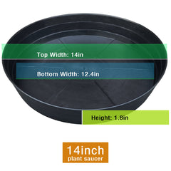 LWALRS Plant Saucer showing depth of 1.8 inches