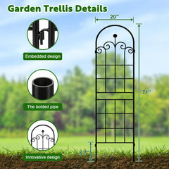 LZRS garden trellis structure with ivy climbing