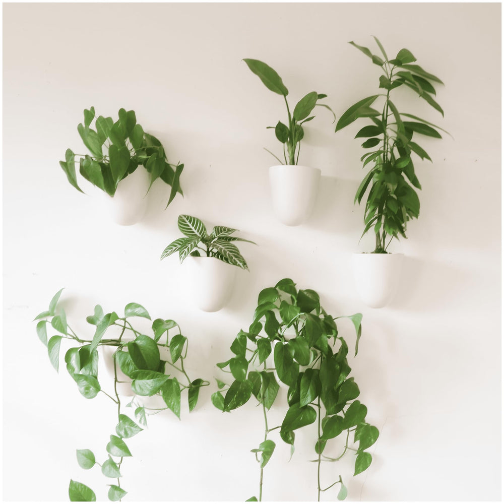 Make Good Self-Watering Wall Planters set of 6 in white