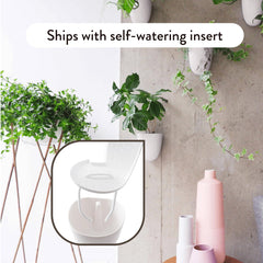 Make Good wall planters displaying small indoor plants