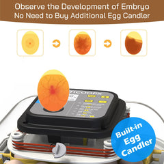 MATICOOPX automatic egg turner mechanism close-up