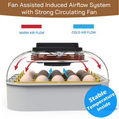 MATICOOPX egg incubator showing built-in egg candler feature