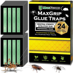 Maxguard MaxGrip Glue Trap front view with fruity scent attractant