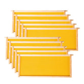 MayBee Deep Brood Beehive Frame front view with yellow wax foundation