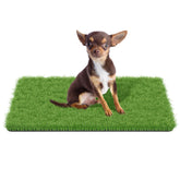 MAYSHINE artificial grass mat for dogs in green, front view