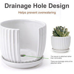 Medium Ton Sin Ceramic Pot, 5.9 inches diameter