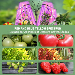 Mefflypee Grow Light in use with plants indoors