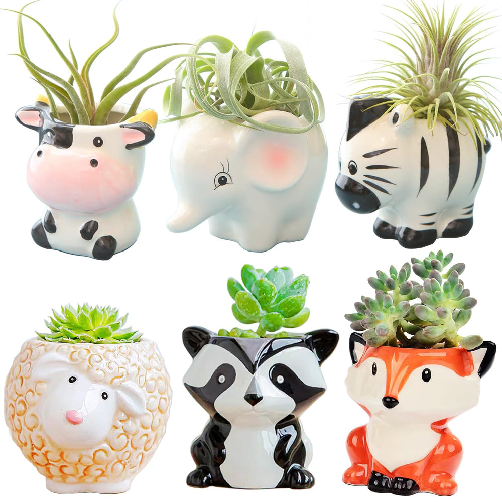 Melphoe animal-shaped succulent pots set front view
