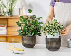 Melphoe double-layer hanging planter showing drainage holes