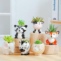 Melphoe mini transplanting tools included with pots