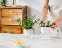 Melphoe self watering pot filled with soil and plant