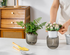 Melphoe Self Watering Pot with visible water level
