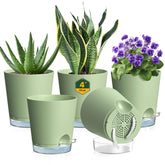 Meowell 4 inch self-watering pots in green, front view