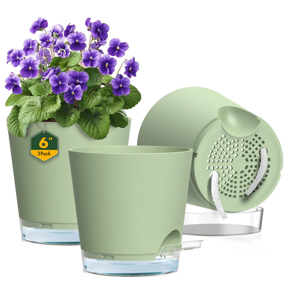 Meowell 6 inch self watering pot green front view