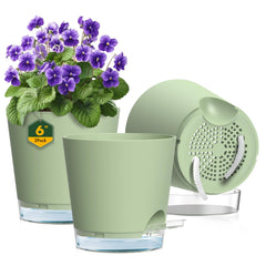 Meowell 6 inch self watering pot green front view