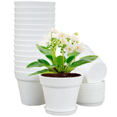 Meowell 6 inch white nursery pot with saucer front view