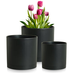 Meowell 8-inch black plant pot with saucer