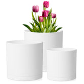 Meowell 8 inch plant pot front view with saucer