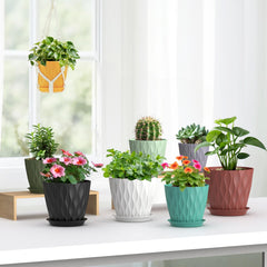 Meowell plant pots arranged on a windowsill