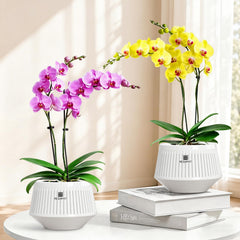 Meshpot 5 Inch Orchid Pot showing air-pruning ventilation holes