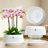 Meshpot 8-inch white orchid pot front view