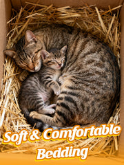 MEWTOGO Natural Wheat Straw spread in a pet kennel