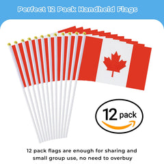 mflagperft Canada flag held by a person