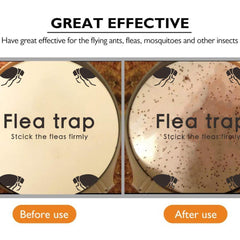 Micnaron Flea Trap in use catching pests