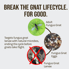 Microbe Life Hydroponics FGX Fungus Gnat Killer in use on houseplants