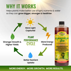 Microbe Life Hydroponics Photosynthesis Plus liquid nutrient close-up