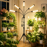 MIEEMCLUX LED Grow Light with 5 heads and black finish