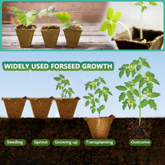 Mini transplanting tools included in the kit